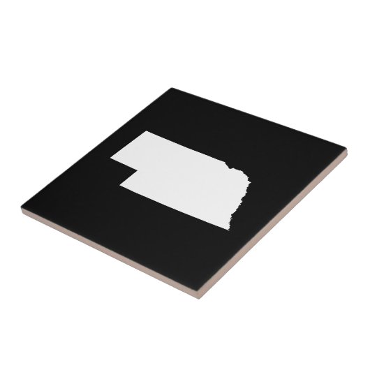 ネブラスカ州（白） タイル (側面)