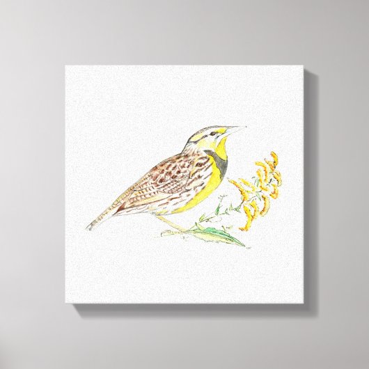 ネブラスカ延伸キャンバス印刷 キャンバスプリント (正面)