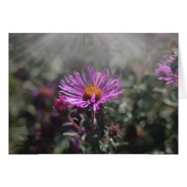 ネブラスカ都市2015年10月