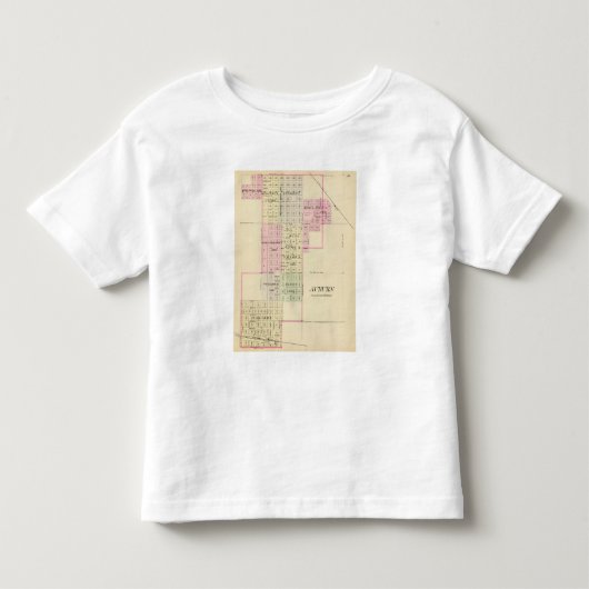 、ネブラスカ金褐色 トドラーTシャツ (正面)