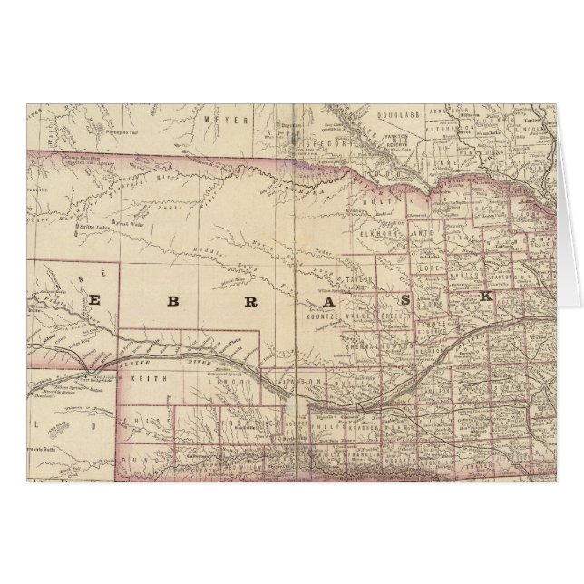 ネブラスカ5 (正面横)