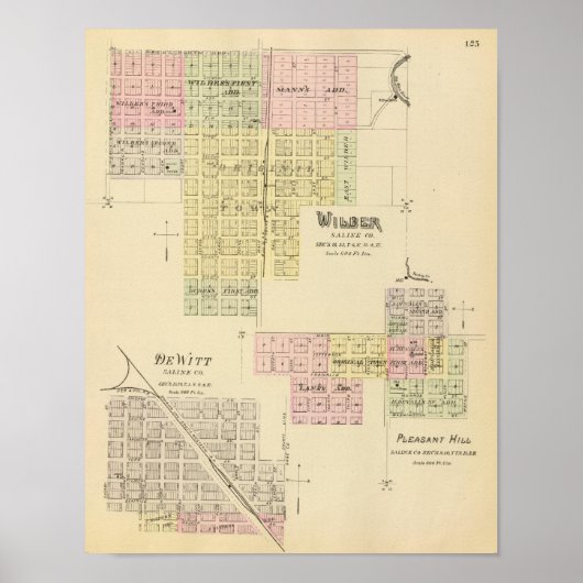 ネブラスカ・ウィルバー ポスター (正面)