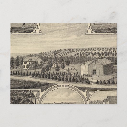 ネブラスカ・カタルパ ポストカード (正面)