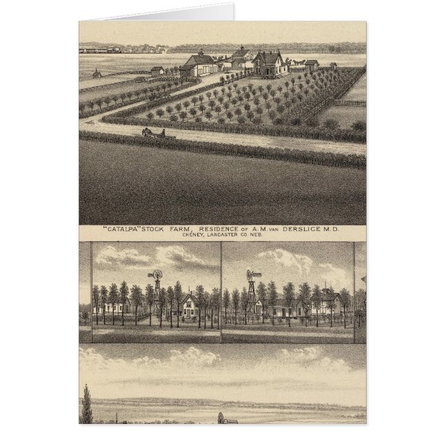 ネブラスカ·ギブソン (正面)