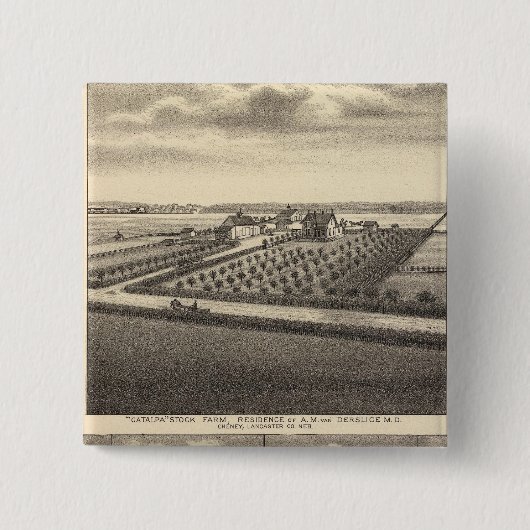 ネブラスカ·ギブソン 缶バッジ (正面)