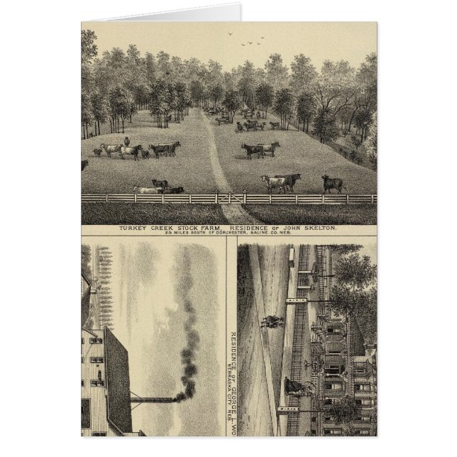 ネブラスカ·トルコクリークファーム (正面)