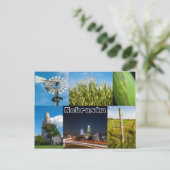 ネブラスカ ポストカード (スタンド正面)