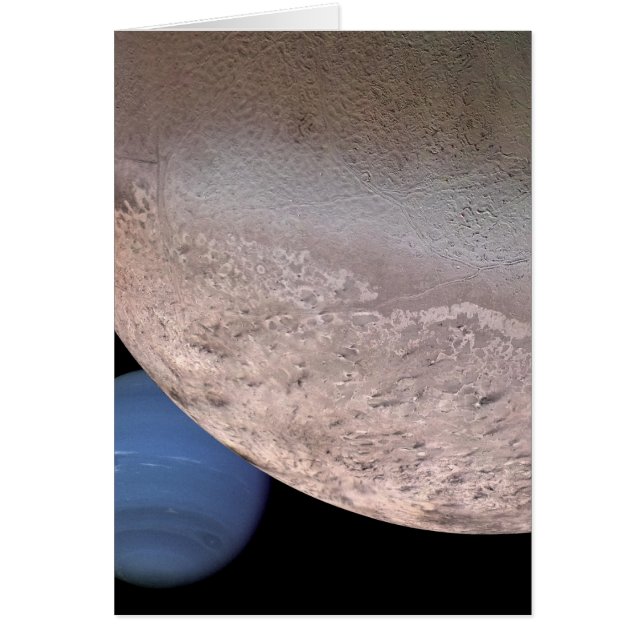 ネプチューンおよびトリトンのモンタージュ (正面)