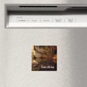 ネプチューンのグロットサルデーニャ文字磁石 マグネット (インサイチュ (食洗機))