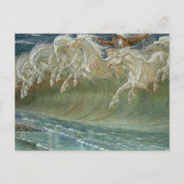 ネプチューンズウマのはがき ポストカード