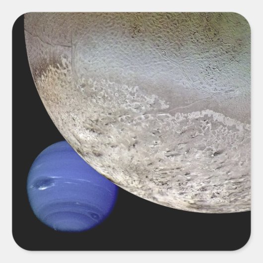 ネプチューン付きトリトン スクエアシール (正面)