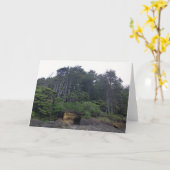 ネプチューン州パーク カード (黄色い花)