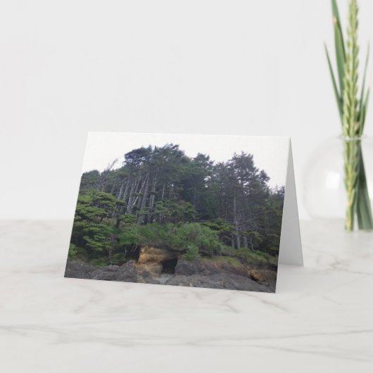 ネプチューン州パーク カード (正面)