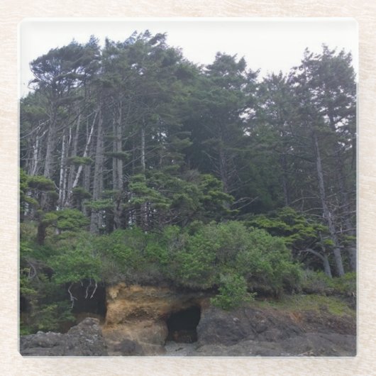 ネプチューン州パーク ガラスコースター (正面)