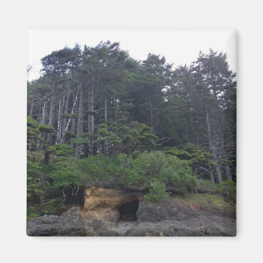 ネプチューン州パーク マグネット (正面)