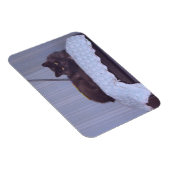 ネベクールロン マグネット (右側)