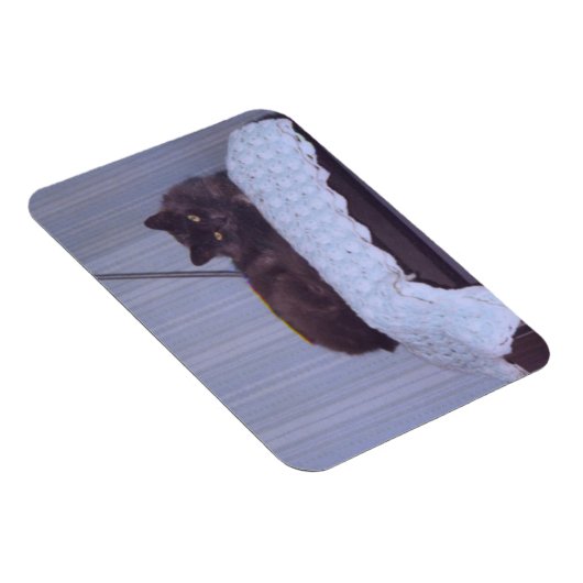 ネベクールロン マグネット (右側)