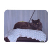 ネベクールロン マグネット (横)