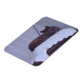 ネベクールロン マグネット (左側)