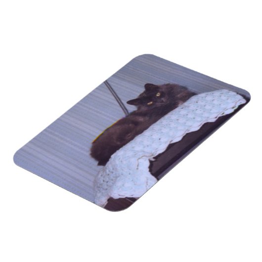 ネベクールロン マグネット (左側)