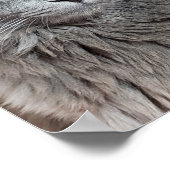 ネベルンの長毛の青ロシアの猫ポスター ポスター (角)