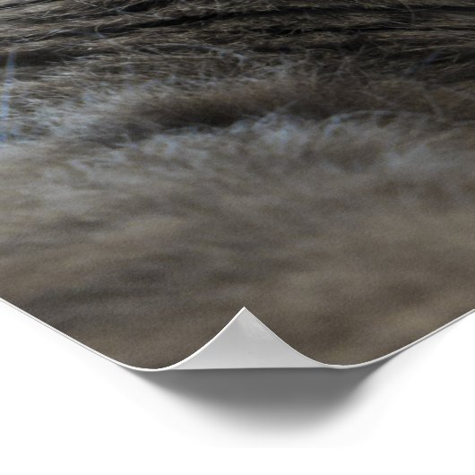 ネベルン猫 ポスター (角)