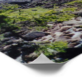 ネベーダ秋 ポスター (角)