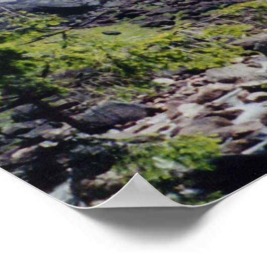 ネベーダ秋 ポスター (角)