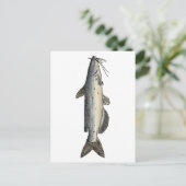 ネマズ(青少年) ポストカード (スタンド正面)