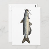 ネマズ(青少年) ポストカード (正面/裏面)