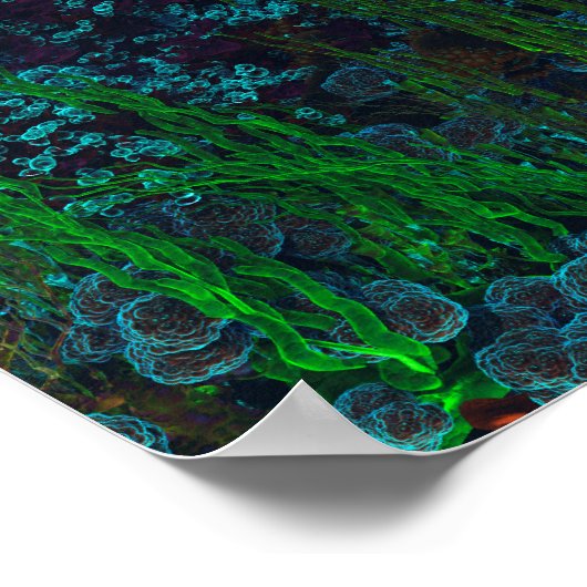 ネモズガーデン ポスター (角)