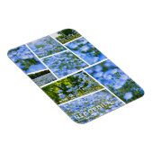 ネモフィラ（赤ちゃん青い目） マグネット (右側)