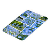 ネモフィラ（赤ちゃん青い目） マグネット (左側)