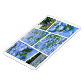 ネモフィラ（赤ちゃん青い目） マグネット (左側)