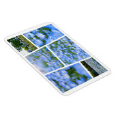 ネモフィラ（赤ちゃん青い目） マグネット (右側)