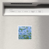 ネモフィラ（赤ちゃん青い目） マグネット (インサイチュ (食洗機))