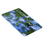 ネモフィラ（赤ちゃん青い目） マグネット (右側)