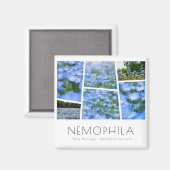 ネモフィラ（赤ちゃん青い目） マグネット (正面/裏面)