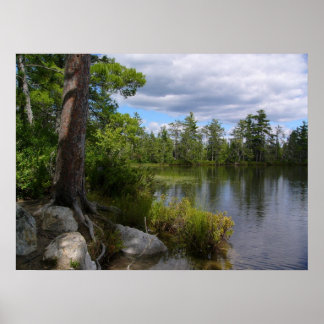 ネリガン湖 ポスター