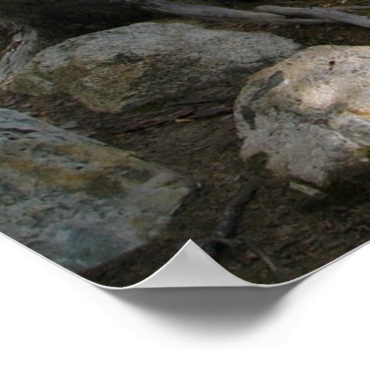 ネリガン湖 ポスター (角)