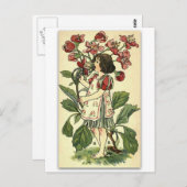 ネリー・ベンソンによる美しいホーソーン ポストカード (正面/裏面)