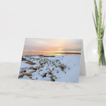 ネルソンパークプリマス