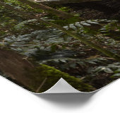 ネルソン秋へのボードウォーク， Franklin - Gordon ポスター (角)