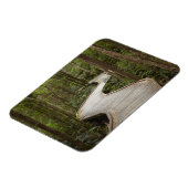 ネルソン秋へのボードウォーク， Franklin - Gordon マグネット (左側)