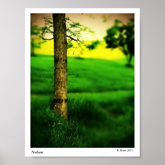 ネルソン ポスター (正面)