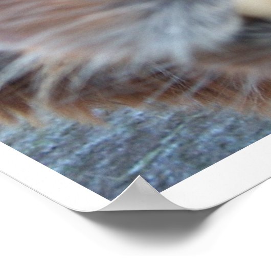 ネルディラマ ポスター (角)