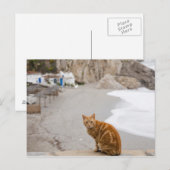 ネルハマラガアンダルーシアスペイン ポストカード (正面/裏面)