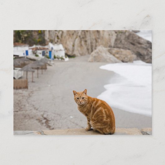 ネルハマラガアンダルーシアスペイン ポストカード (正面)