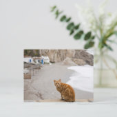 ネルハマラガアンダルーシアスペイン ポストカード (スタンド正面)