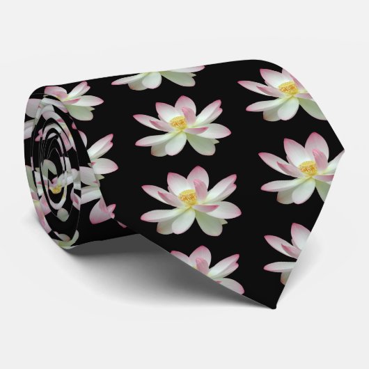 ネロンボヌシフェラ ネクタイ (ロール)